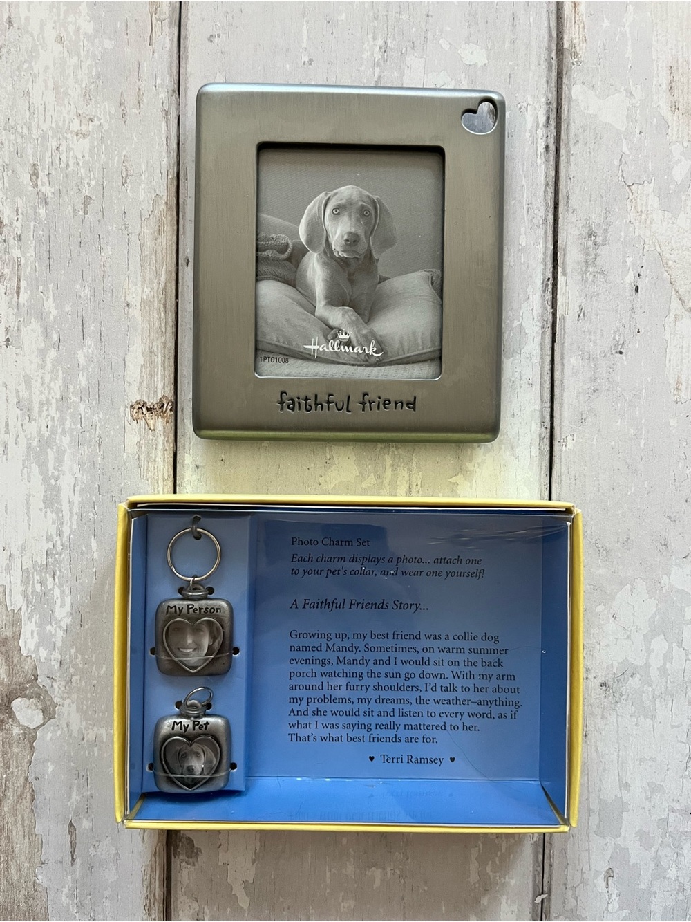 Hallmark Faithful Friend Pewter Frame & Photo Charm Set - Silver